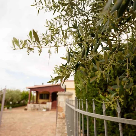 Villa Mario Mottola Esterno foto