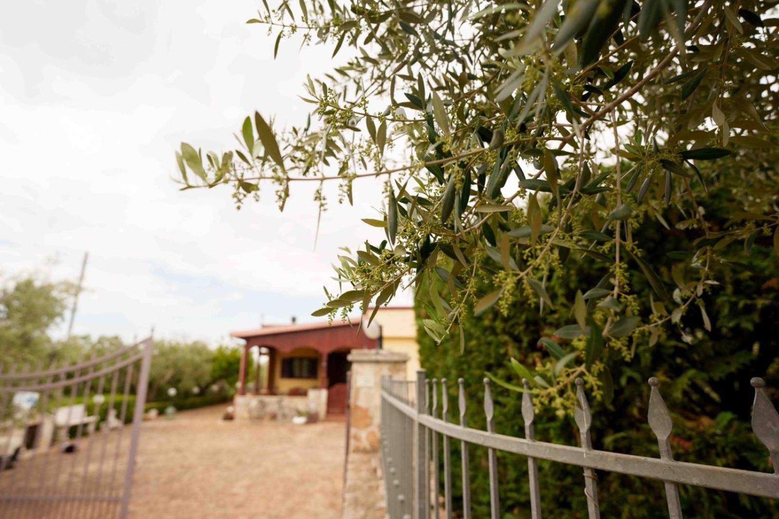Mario Holiday home Mottola